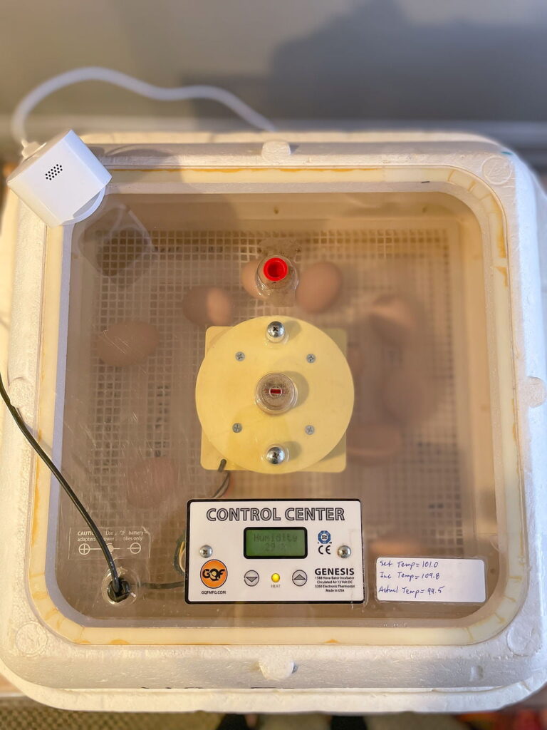 Fostering empathy through animal interactions in the classroom. 
