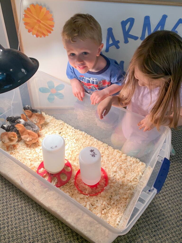 Fostering empathy through animal interactions in the classroom. 
