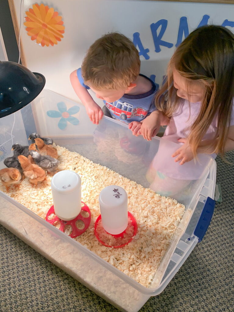 Fostering empathy through animal interactions in the classroom. 
