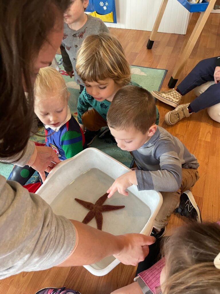 The Importance of Play-Based Education for Young Children
