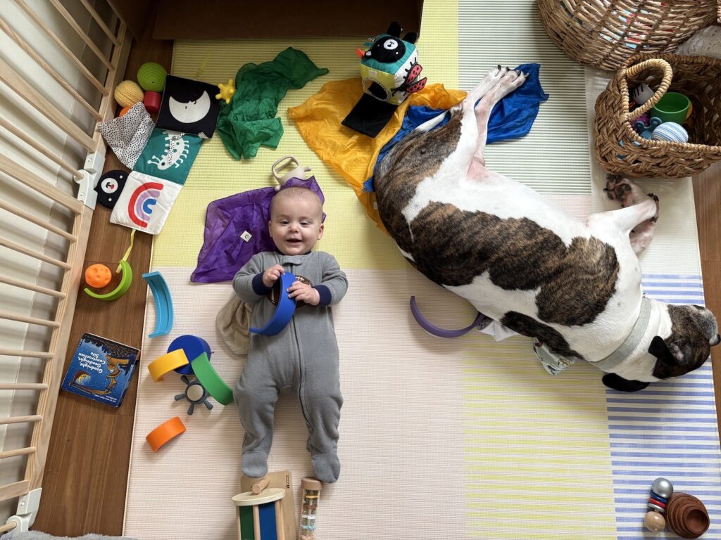 Introducing Your First Baby to Your New Baby